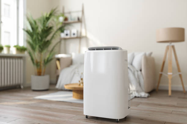 Best Residential HVAC services  in Annandale, MN